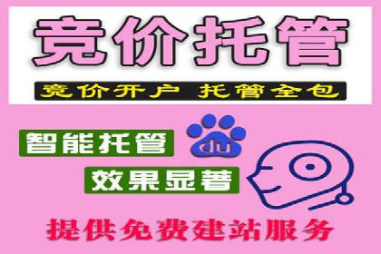 深度解析SEM推广代运营的成功案例及策略